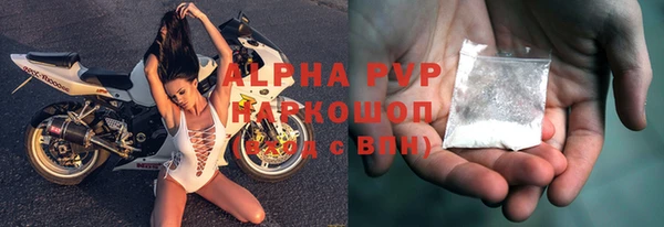прущие грибы Армянск