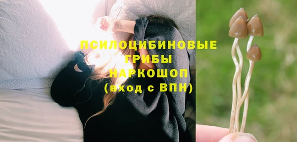 ГАЛЛЮЦИНОГЕННЫЕ ГРИБЫ Аркадак
