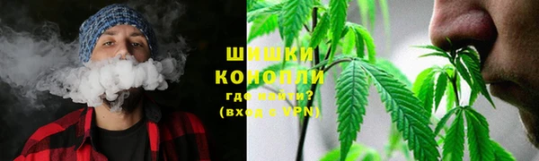 прущие грибы Армянск