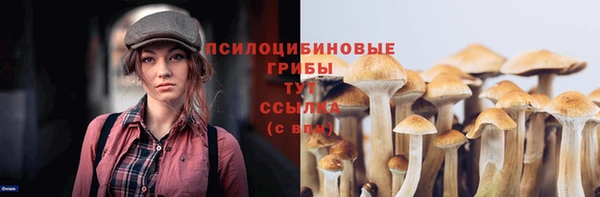 ГАЛЛЮЦИНОГЕННЫЕ ГРИБЫ Аркадак