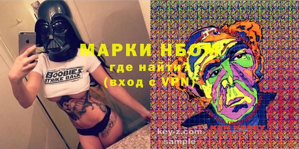 ГАЛЛЮЦИНОГЕННЫЕ ГРИБЫ Аркадак