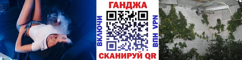Каннабис сатива  Медынь 
